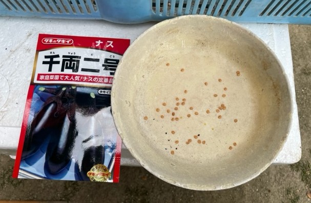 【なす】 ポットに種をまきました 2026.2.26